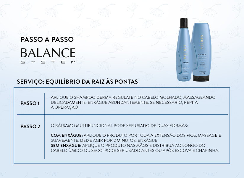 Passo a passo - balance-system